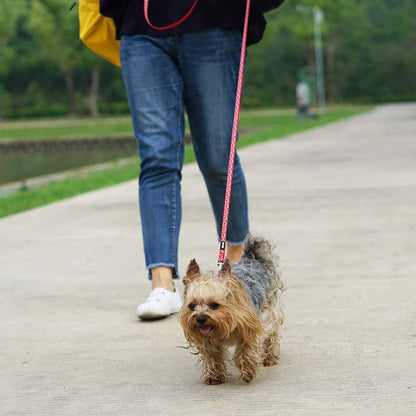 New Year Dog Collar and Leash Set, Adjustable Nylon Collar with Matching Leash for Small Dogs, Foil Printing Dog Bone Pattern, Red